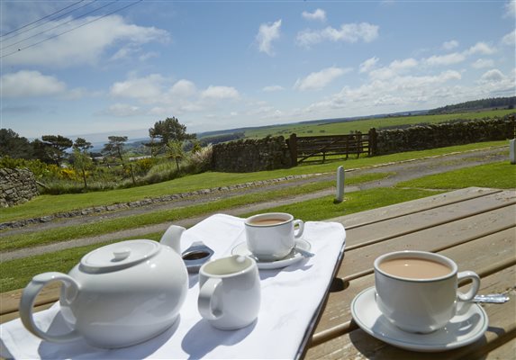 Tea with a view